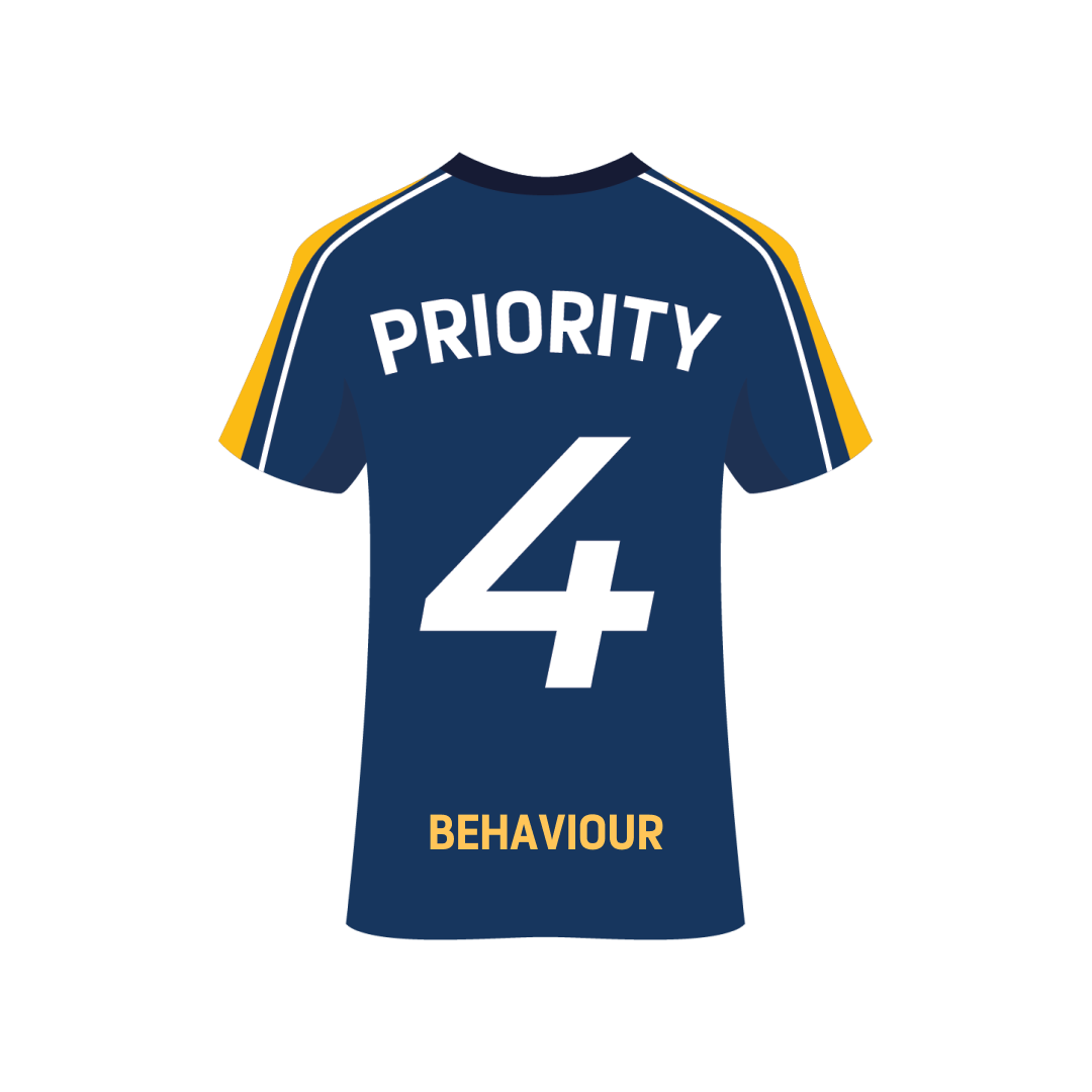 Strategic Pillar 4 - Promote